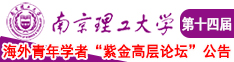 亚洲贴图12P南京理工大学第十四届海外青年学者紫金论坛诚邀海内外英才！